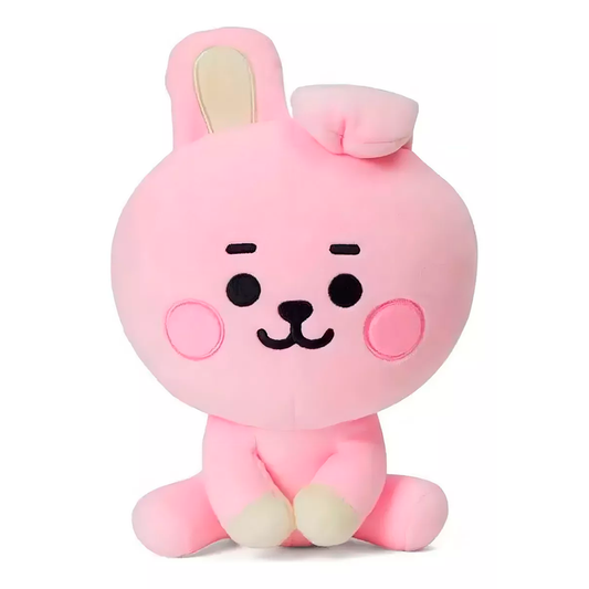 Bt21 Bts Peluche De Cooky